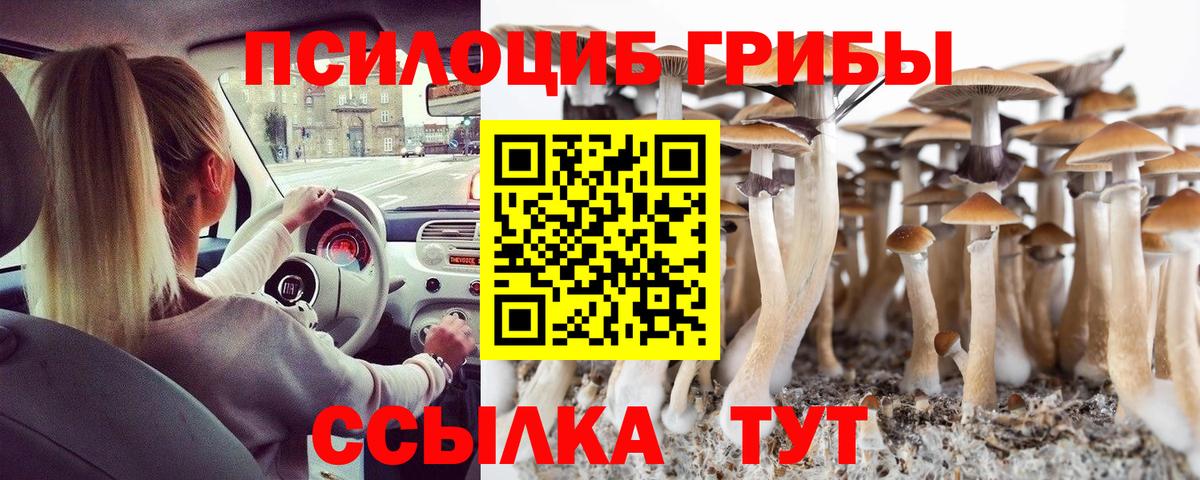 Галлюциногенные грибы Cubensis Коркино