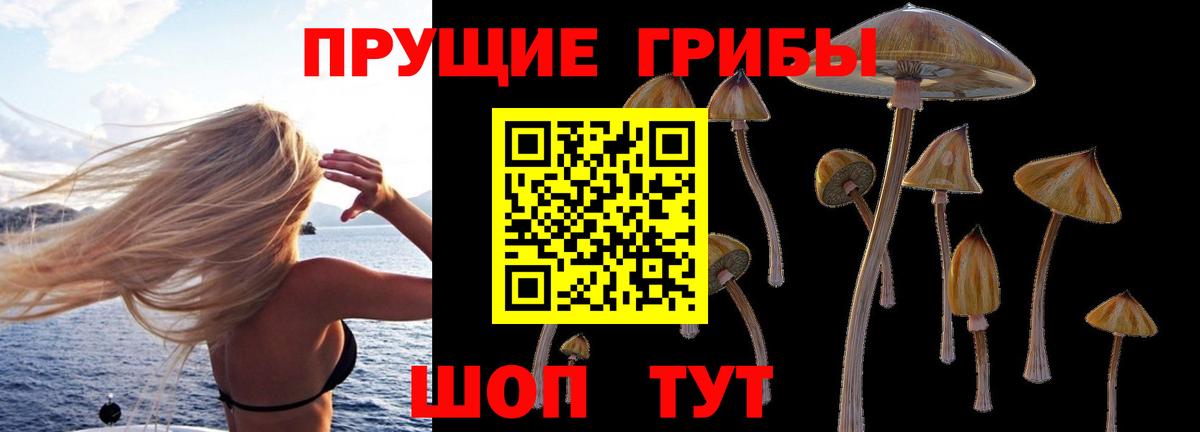 Галлюциногенные грибы Psilocybine cubensis  Вход с VPN  Коркино 